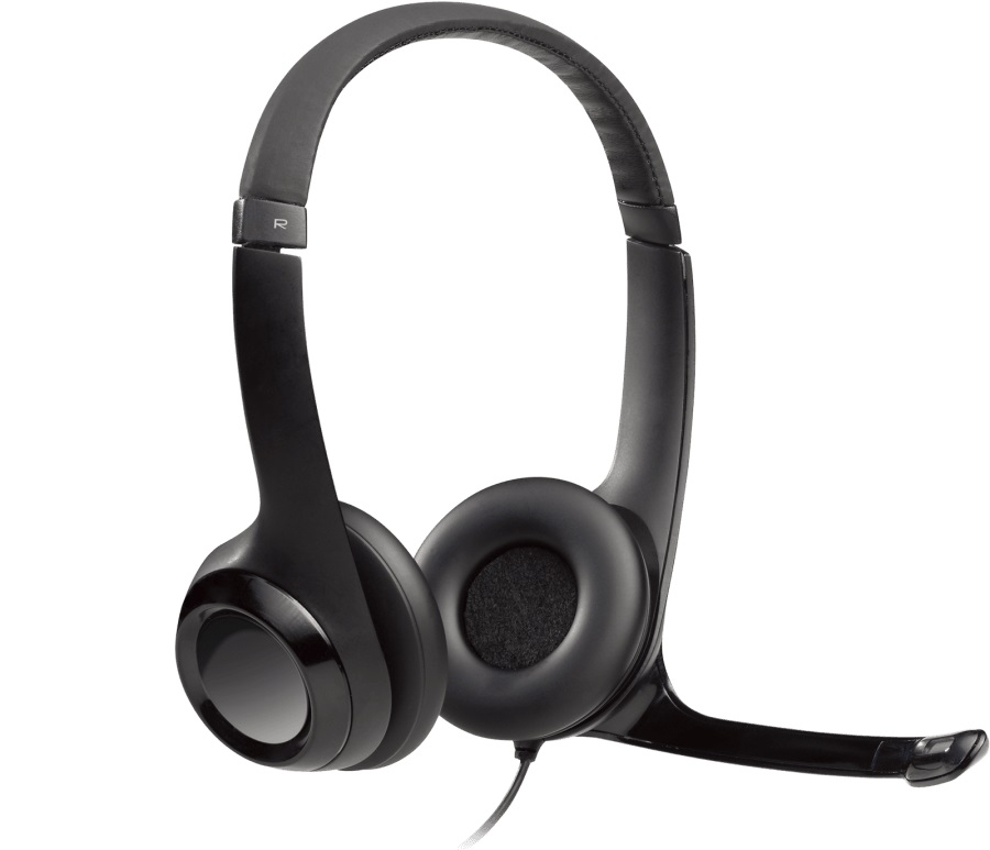 Qulaqlıq Logitech Corded USB Headset H390 (981-000406)