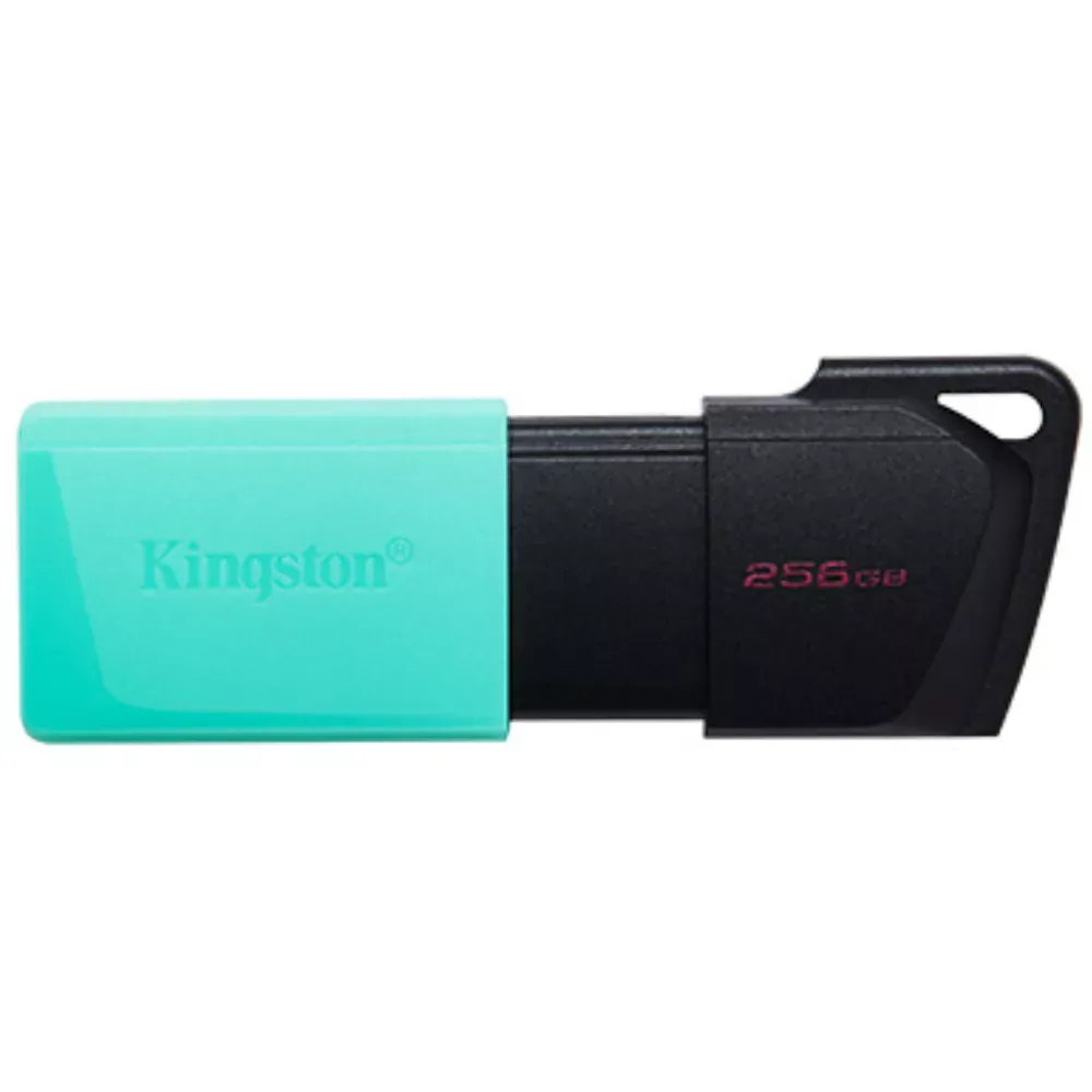 Fleş kart Kingston DataTraveler Exodia M DTXM/256GB